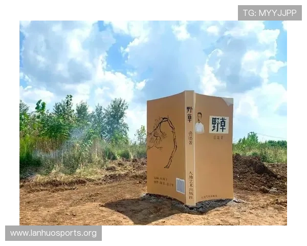 永乐国际：探秘其在全球市场的影响力与创新发展之路