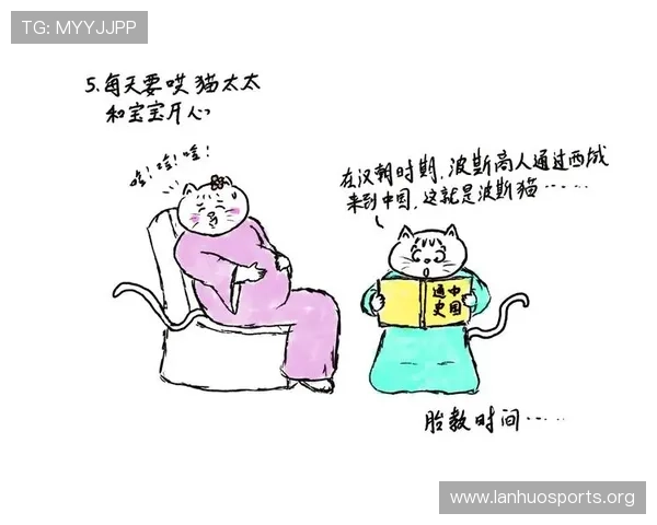 以猫先生为核心打造的温暖治愈系故事与奇妙日常全景探索之旅篇章
